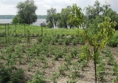Продам будинок на березі Дніпра власний берег 25 соток землі - 7/9