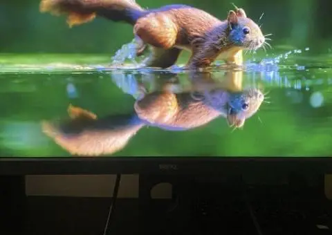99% AdobeRGB - Монітор для фотографів -BenQ SW240 24.1 - IPS - 3/3