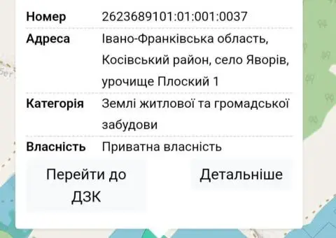 3,38 га. житлової забудови у карпатах: Інвестиційний проєкт з видом на Чорногірський хребет - 8/10