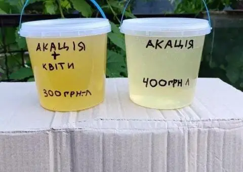 Продам травневий майскийакація акация Мед - 1/3
