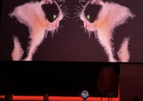 Терміново ALR екран для проєктора LedProjector Black Crystal (FFB), 120” - 3/3