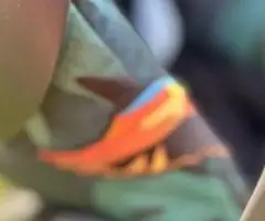 Автокрісло/люлька Cybex Birds of Paradise