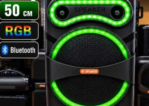 Караоке колонка Bluetooth | Бездротовий мікрофон | 12"  50 W - 2/3