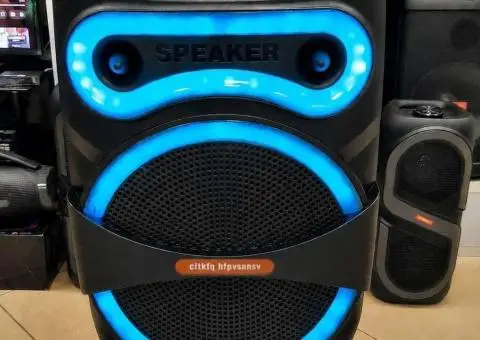 Караоке колонка Bluetooth | Бездротовий мікрофон | 12"  50 W - 3/3