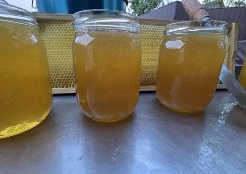 Мед травневий(сади, різнотравʼя