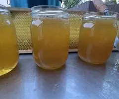 Мед травневий(сади, різнотравʼя
