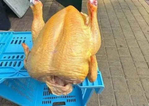 Тушка Бройлера Охолоджена - 2/3