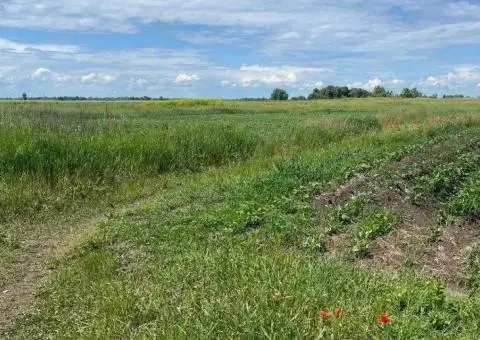 Продам або обміняю будинок із земельною ділянкою - 2/3