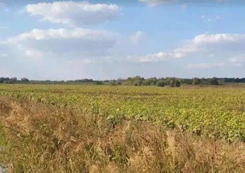 Продам земельный участок под строительство АЗС или придорожного комплекса. - 3/8