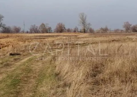 земля сельскохозяйственного назначения - 1/10