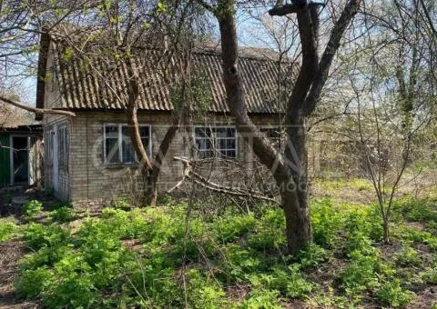 земля сільськогосподарського призначення - 1/10