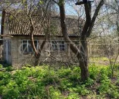 земля сільськогосподарського призначення