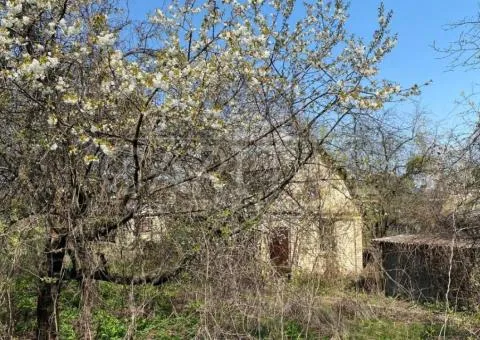 земля сільськогосподарського призначення - 2/10