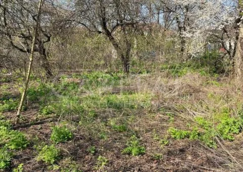 земля сільськогосподарського призначення - 8/10