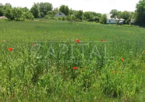 plot for residential development - 5/6
