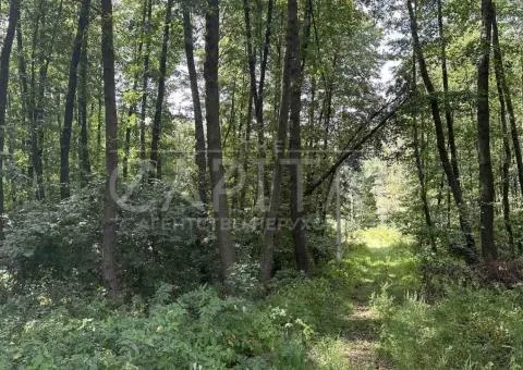 plot for residential development - 5/9