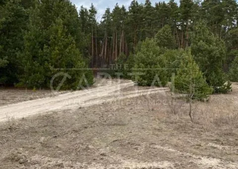 участок под жилую застройку - 10/10