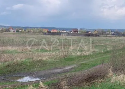 земля сельскохозяйственного назначения - 4/10