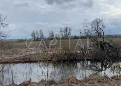 земля сельскохозяйственного назначения - 8/10