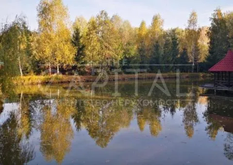 земля сельскохозяйственного назначения - 1/4
