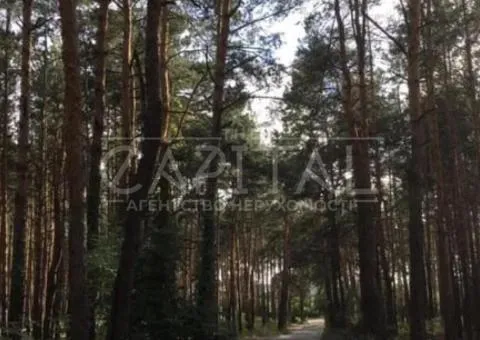 участок под жилую застройку - 10/10