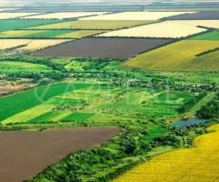 земля сельскохозяйственного назначения