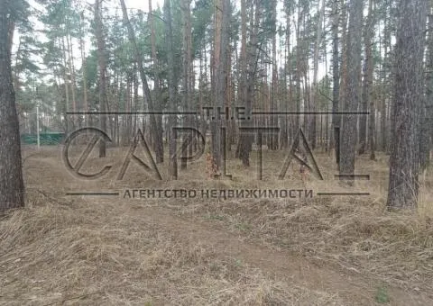 участок под жилую застройку - 9/10