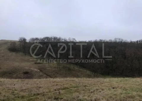 земля сельскохозяйственного назначения - 2/5