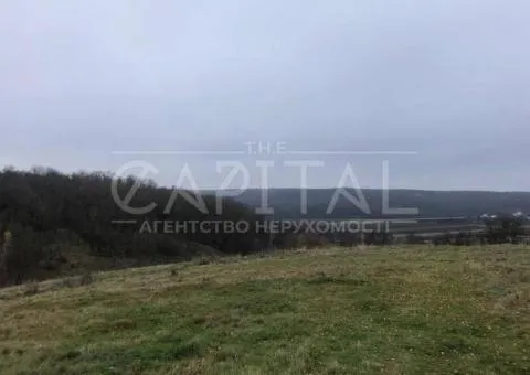 земля сельскохозяйственного назначения - 3/5