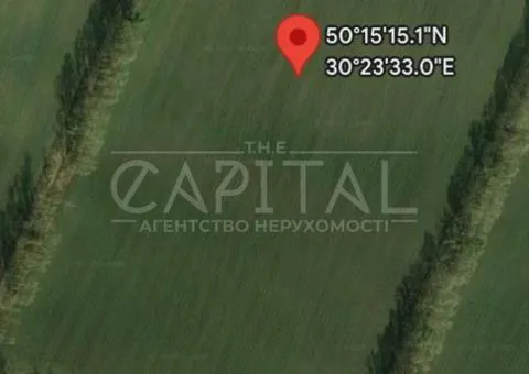 земля сельскохозяйственного назначения - 1/3