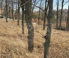 участок под жилую застройку