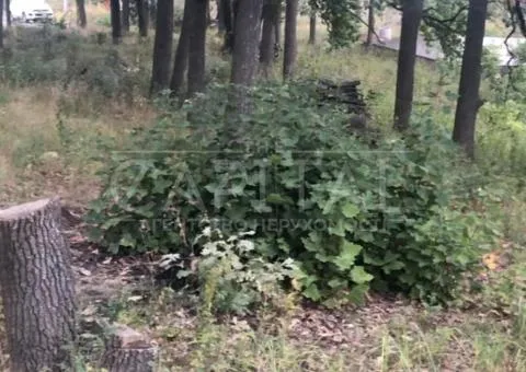 участок под жилую застройку - 3/4