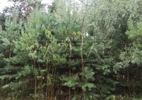 участок под жилую застройку - 6/10