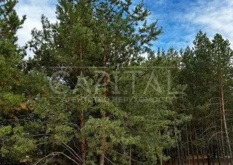 участок под жилую застройку - 3/4