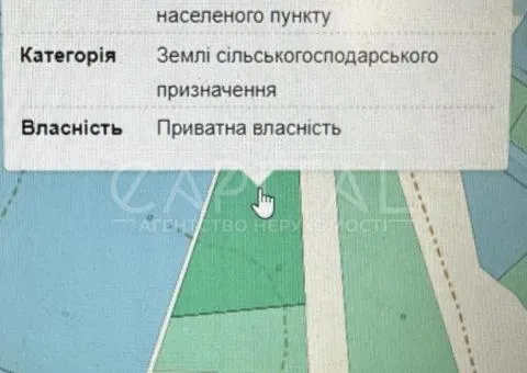 земля сельскохозяйственного назначения - 5/7
