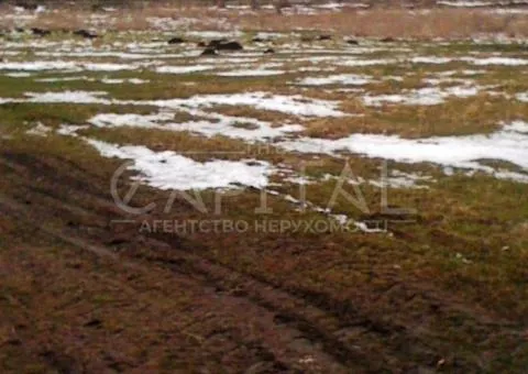 земля сельскохозяйственного назначения - 2/8