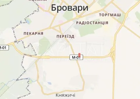 земля сельскохозяйственного назначения - 1/3