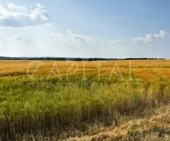 земля сельскохозяйственного назначения