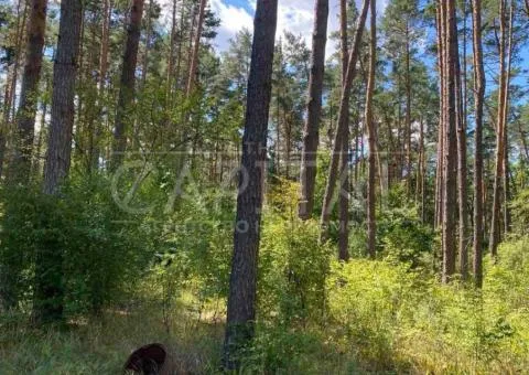 Plot for residential development - 3/10