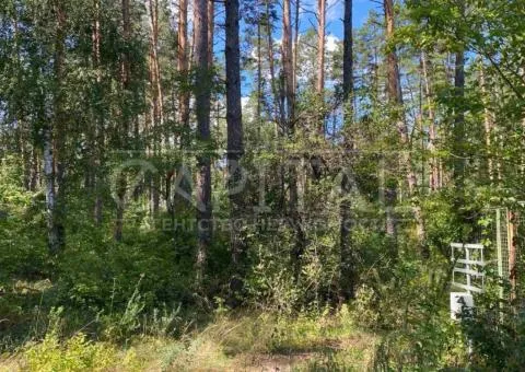 Plot for residential development - 7/10