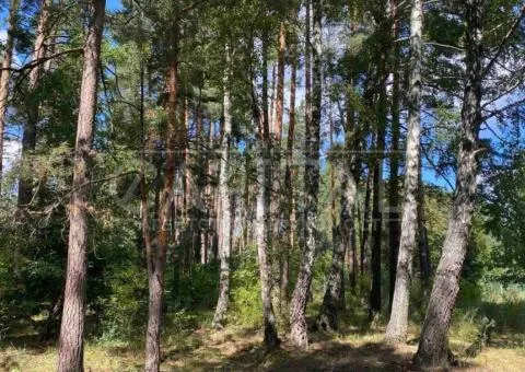 Plot for residential development - 9/10