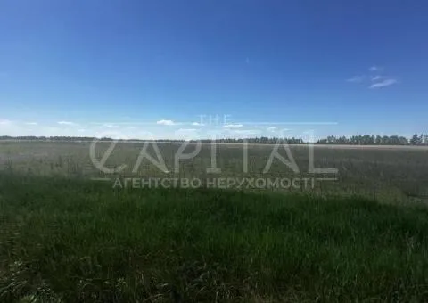 земля сельскохозяйственного назначения - 1/6