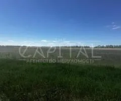 земля сельскохозяйственного назначения