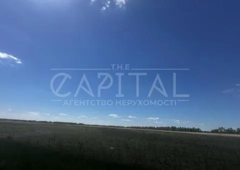 земля сельскохозяйственного назначения - 3/6