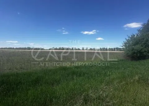 земля сельскохозяйственного назначения - 6/6