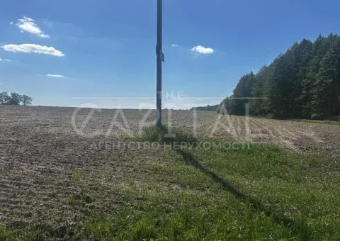 земля сельскохозяйственного назначения - 5/10