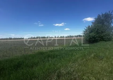 земля сельскохозяйственного назначения - 8/10