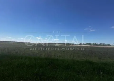 земля сельскохозяйственного назначения - 9/10