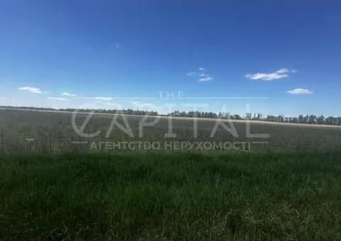 земля сельскохозяйственного назначения - 10/10