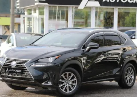 Lexus NX, 2019